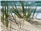 14b/18-24 Aubrey Street, Surfers Paradise QLD 4217