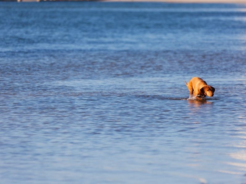 7/39 Middle Street, Labrador QLD 4215