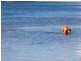 1 The Glade, Labrador QLD 4215
