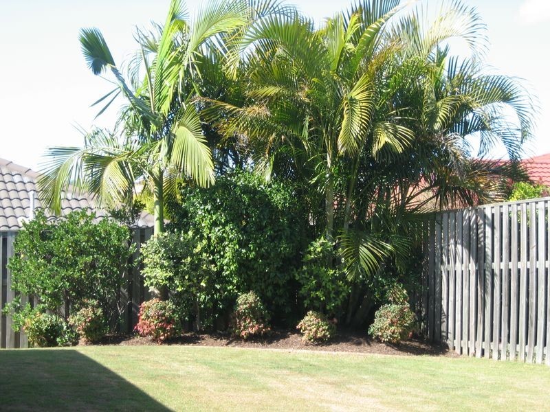 15 Pandora Crescent, Pacific Pines QLD 4211