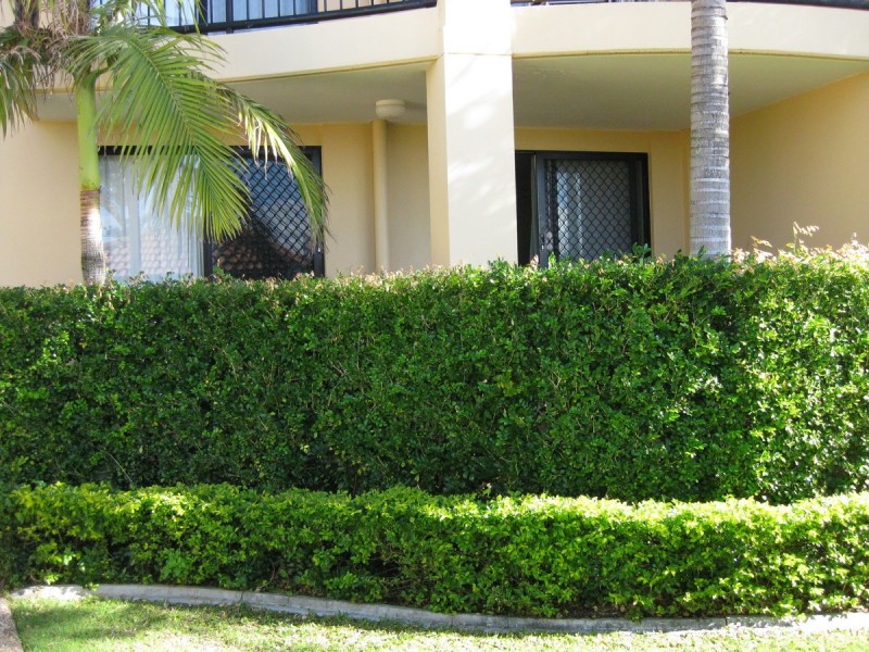 2/452 Marine Parade, Biggera Waters QLD 4216