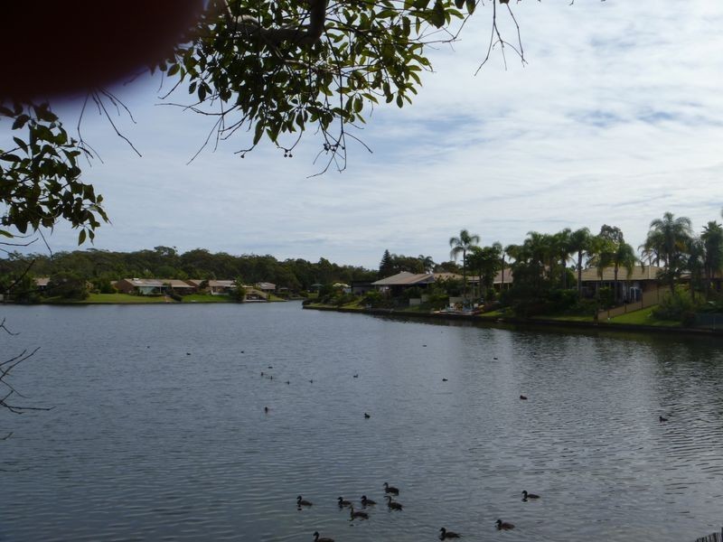 1/17 Kangaroo Avenue, Coombabah QLD 4216