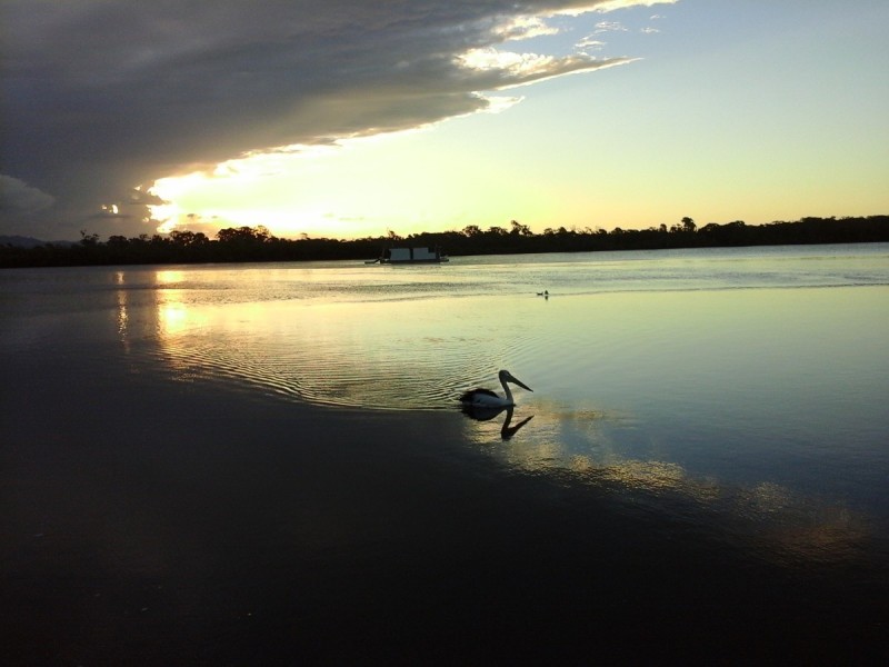 Coombabah QLD 4216