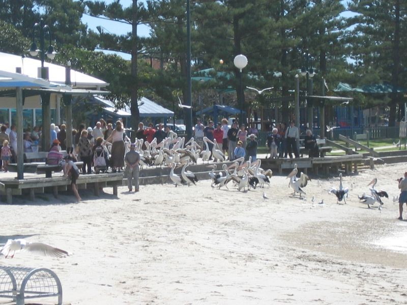 12/62-64 Brown Street, Labrador QLD 4215