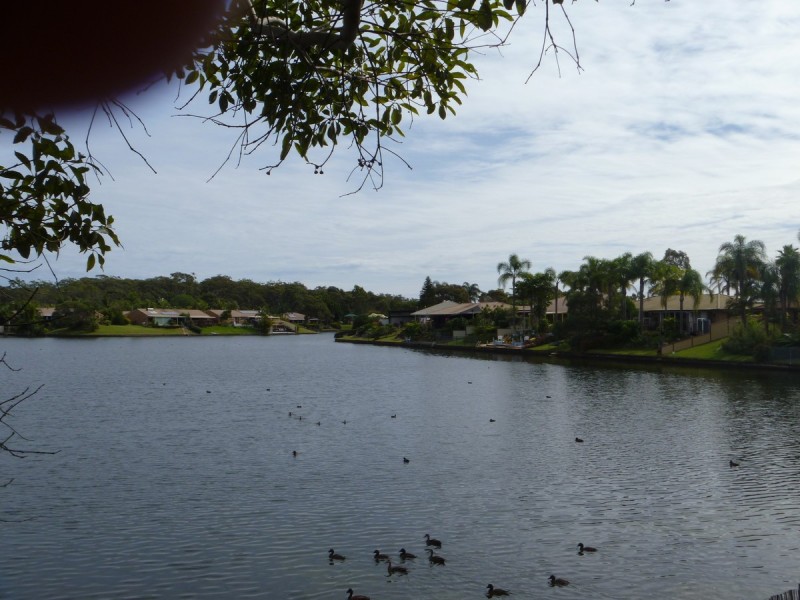 1/17 Kangaroo Avenue, Coombabah QLD 4216