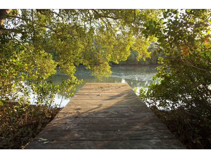 66 Rivertree Avenue, Helensvale QLD 4212