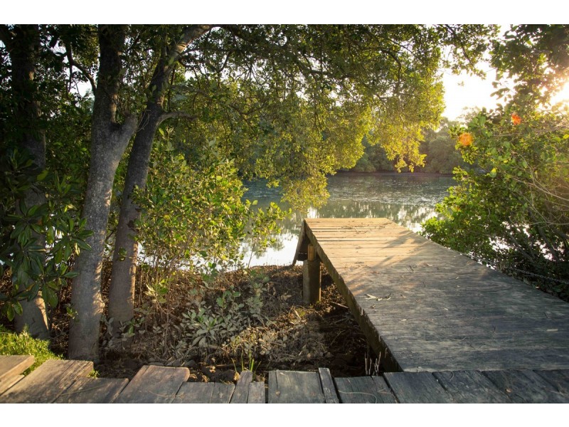 66 Rivertree Avenue, Helensvale QLD 4212