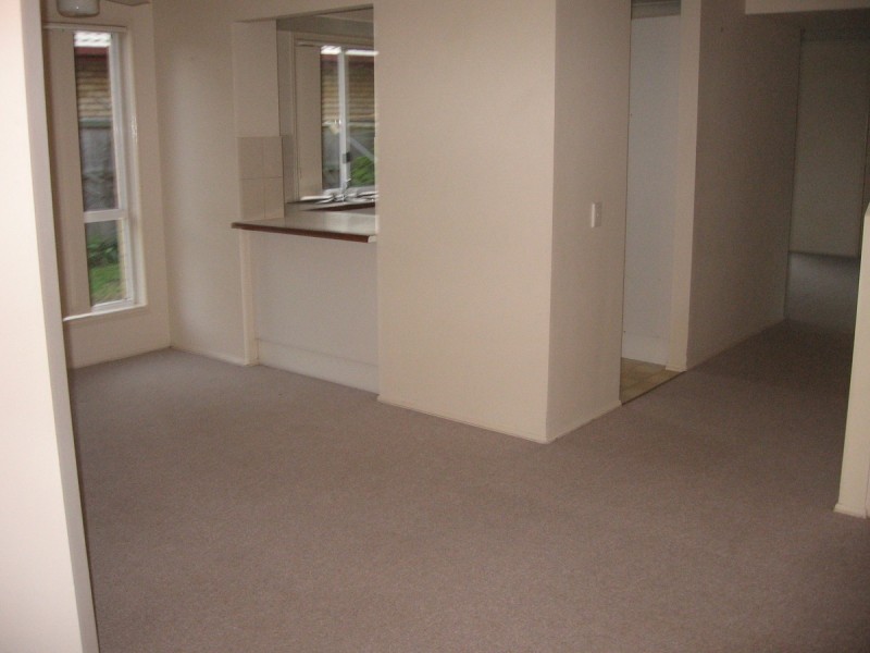 11 Souter Street, Nerang QLD 4211