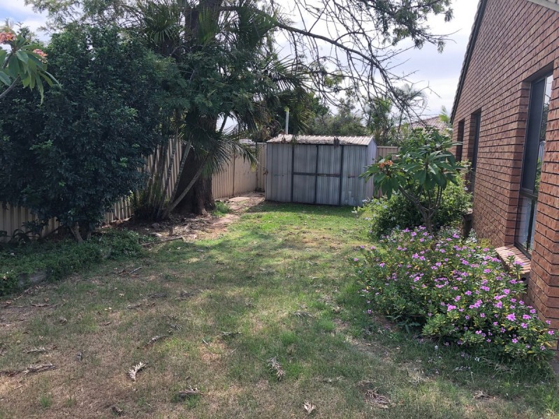 19 Salvia Street, Hollywell QLD 4216