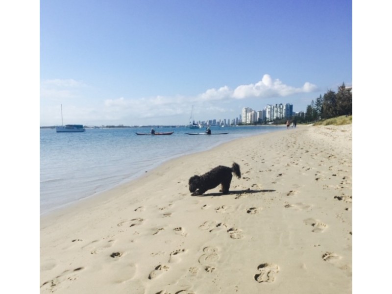 2/25 Ferguson Avenue, Labrador QLD 4215