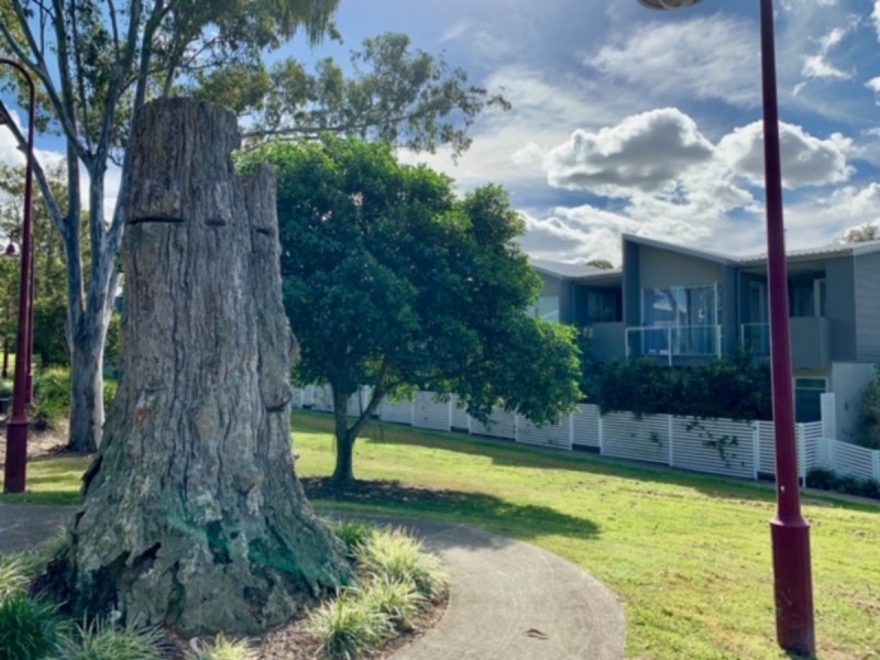 1/29 Cotton Street, Nerang QLD 4211
