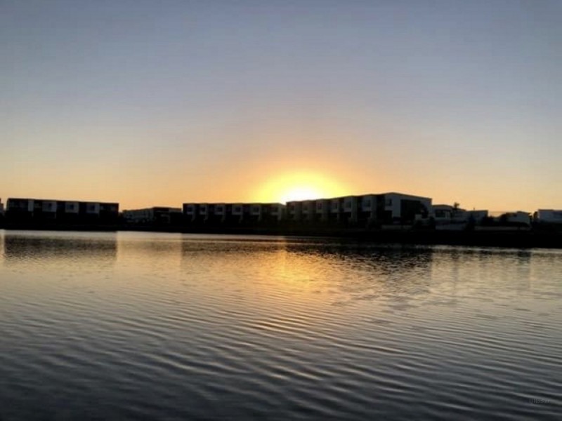 16 Sorrento Street, Hope Island QLD 4212