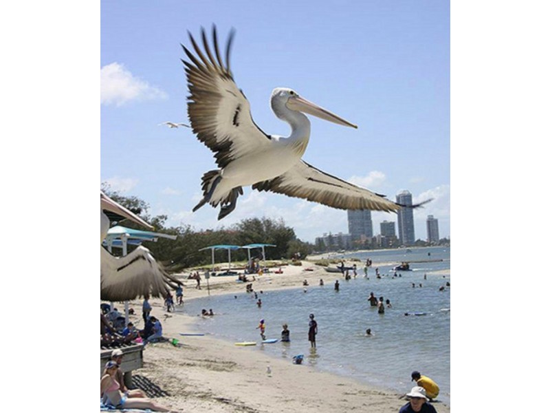 8/6 Broad Street, Labrador QLD 4215