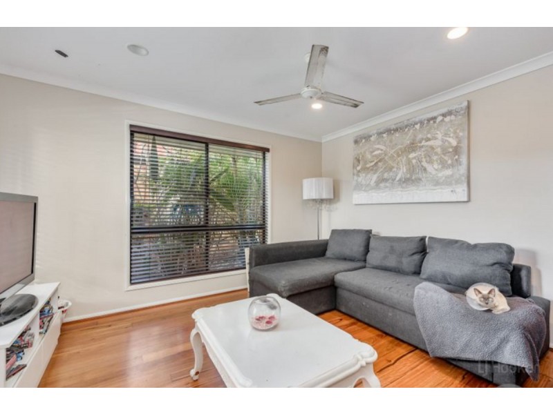 8 Seidler Avenue, Coombabah QLD 4216