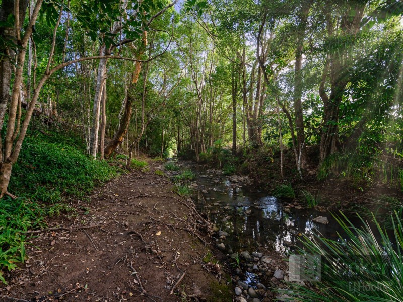 9 Pinewood Street, Upper Coomera QLD 4209