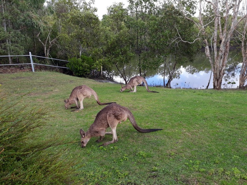 67 The Estuary, Coombabah QLD 4216