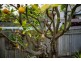 12 Horder Avenue, Labrador QLD 4215