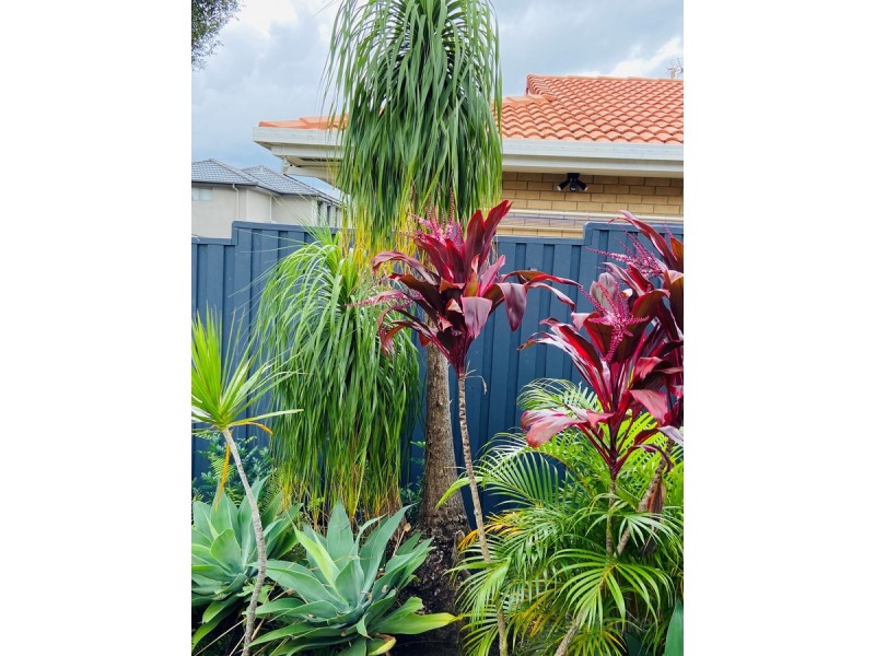 2/51 Government Road, Labrador QLD 4215