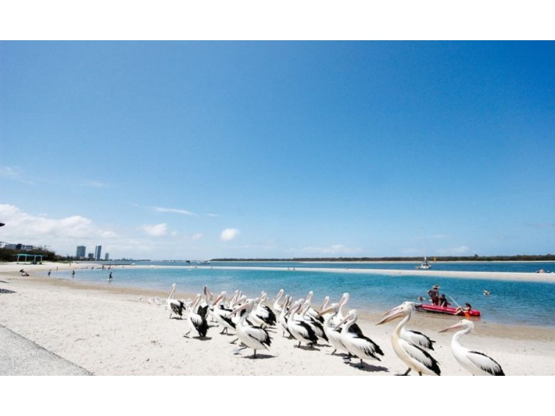 5/23 Bath Street, Labrador QLD 4215