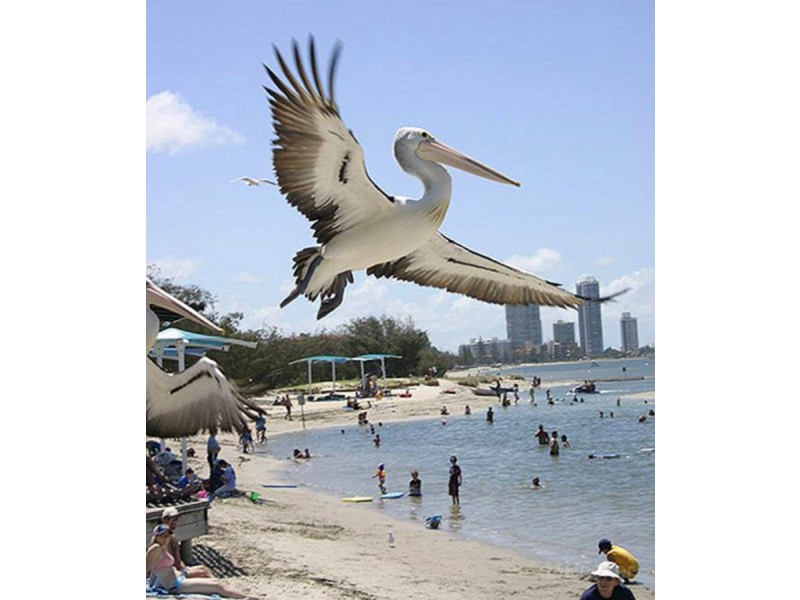 28/10-12 Bath Street, Labrador QLD 4215