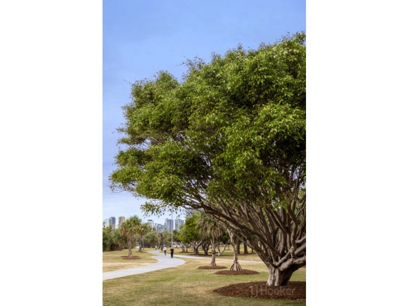 4 Teresa Lane, Labrador QLD 4215