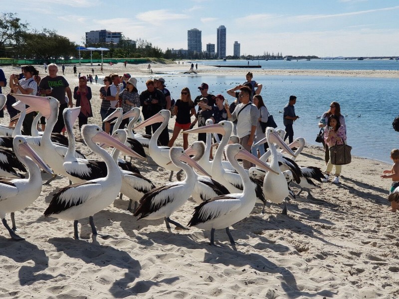 60/75 Brown Street, Labrador QLD 4215