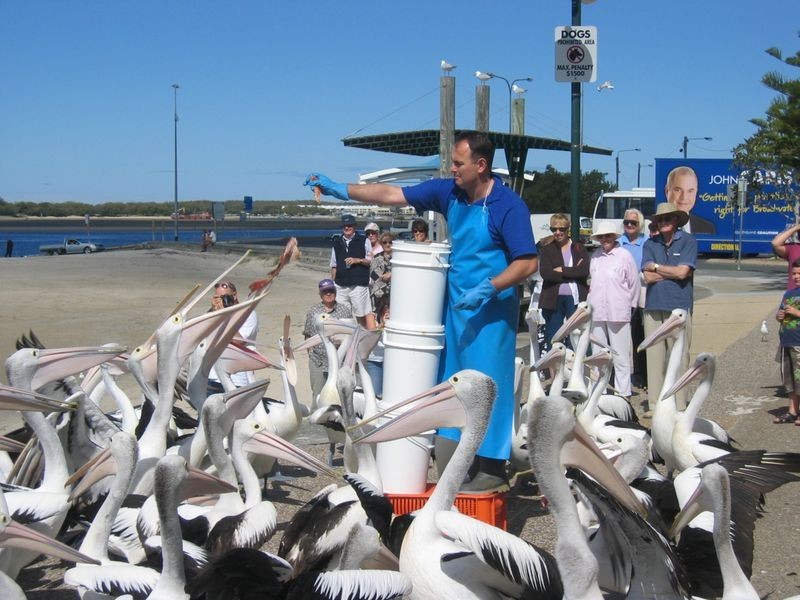 6/27 Bath Street, Labrador QLD 4215