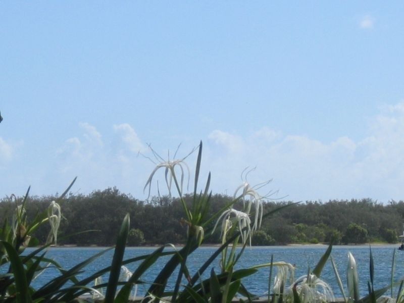 Biggera Waters QLD 4216