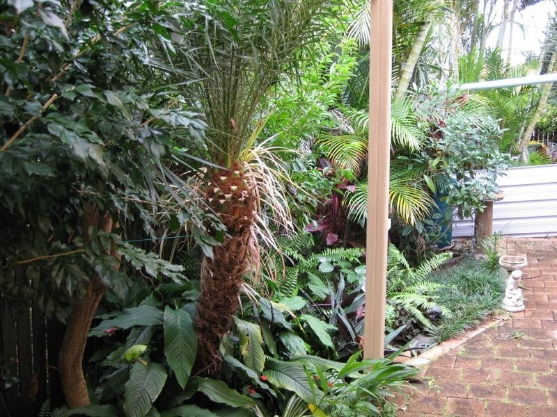 2/37 Government Road, Labrador QLD 4215