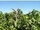 Block 35 Pumps Road, Red Cliffs VIC 3496