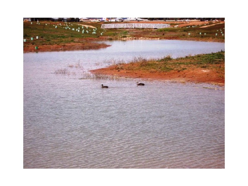 Ontario Avenue, Mildura VIC 3500