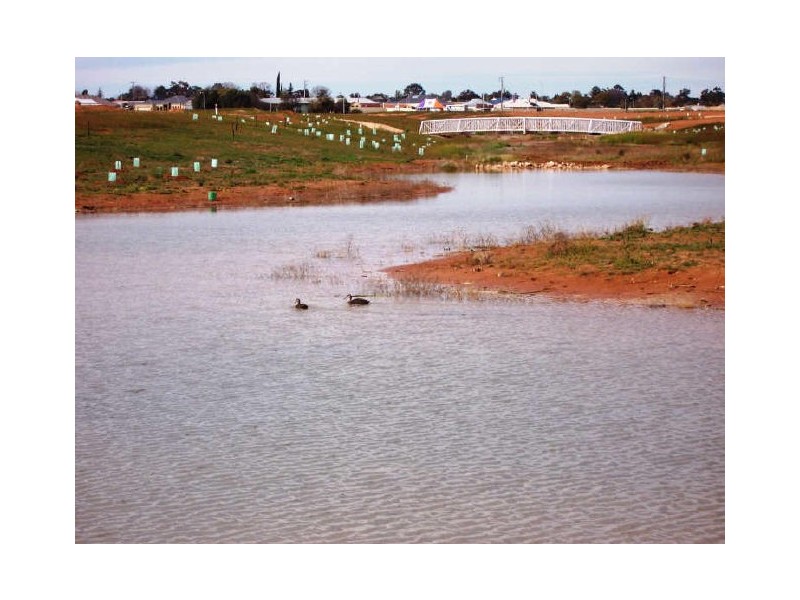 Ontario Avenue, Mildura VIC 3500