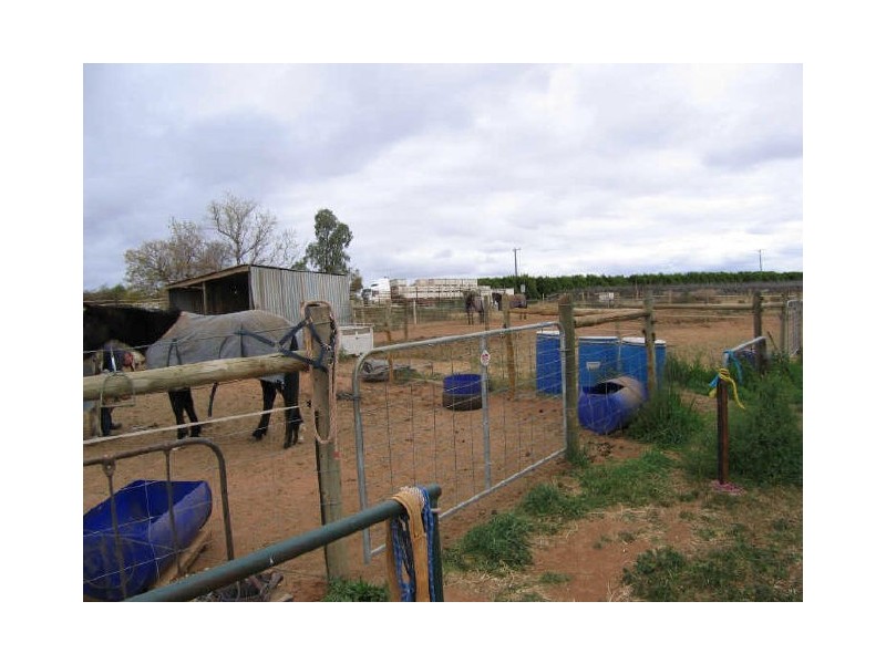 548 Paschendale Avenue, Merbein VIC 3505