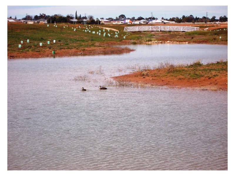Ontario Avenue, Mildura VIC 3500