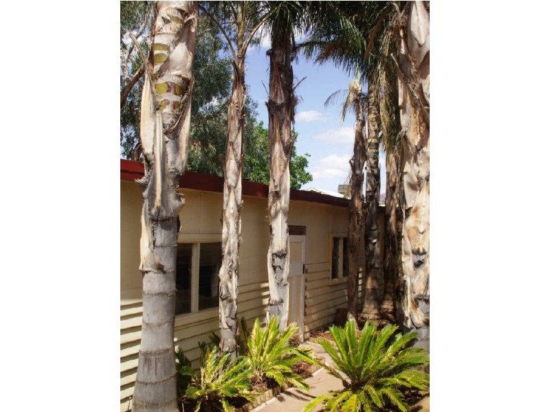 14 Mimosa Avenue, Mildura VIC 3500