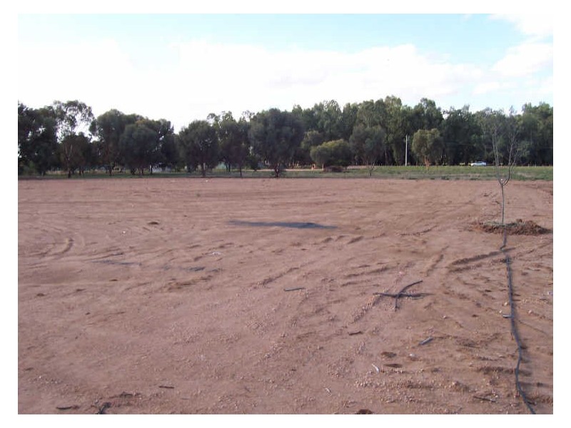 46 Flora Avenue, Mildura VIC 3500