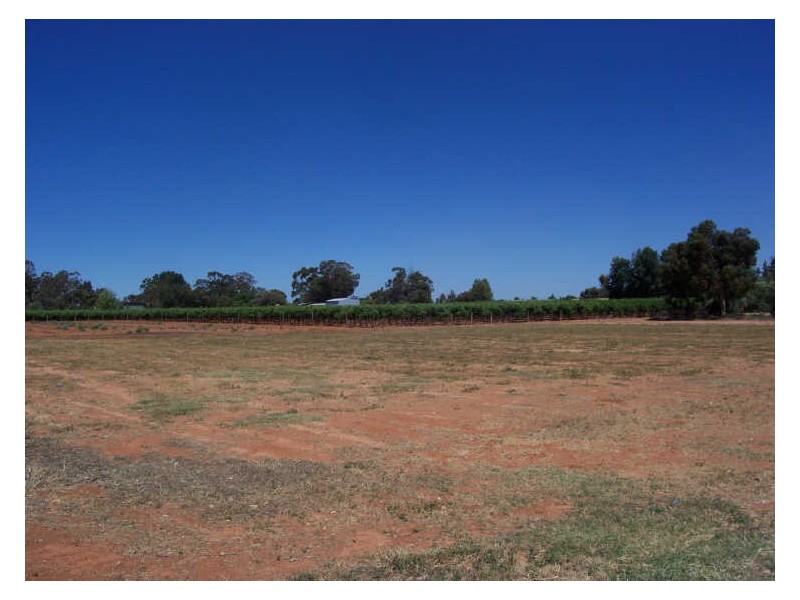 Lot 1/73 Coorong Avenue, Irymple VIC 3498