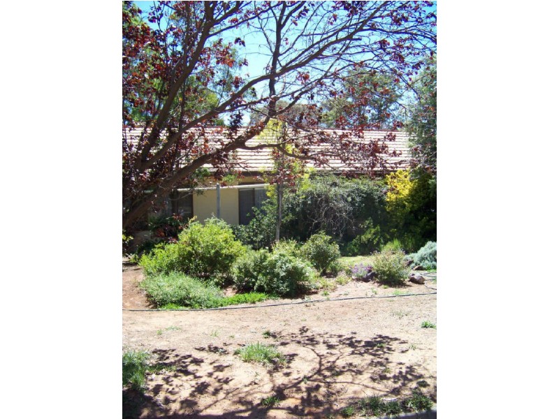 8 Albert Street, Mildura South VIC 3501