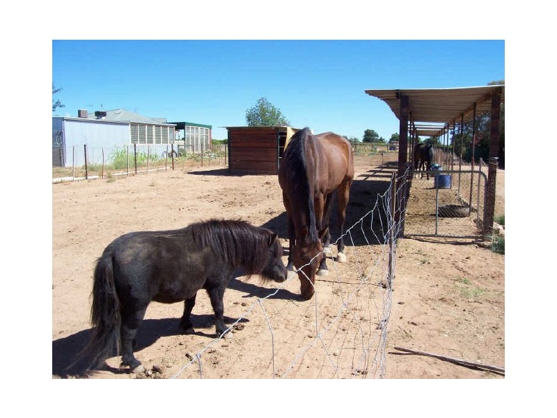 43 Morpung Avenue, Nichols Point VIC 3501