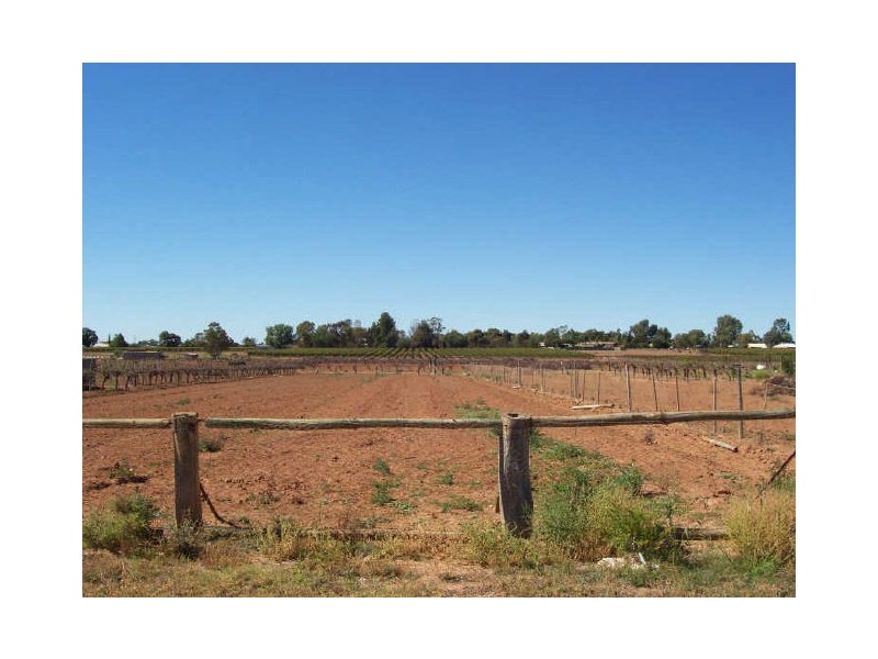 43 Morpung Avenue, Nichols Point VIC 3501