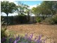 26 Rose Street, Buronga NSW 2739