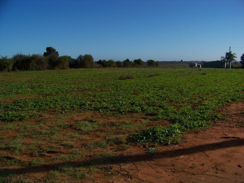 Lot 1 Fifth Street, Merbein VIC 3505