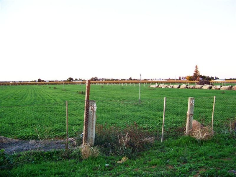 344 Fifth Street, Merbein VIC 3505