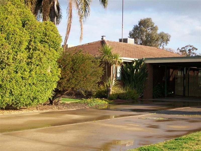 229 Twelfth Street, Mildura VIC 3500
