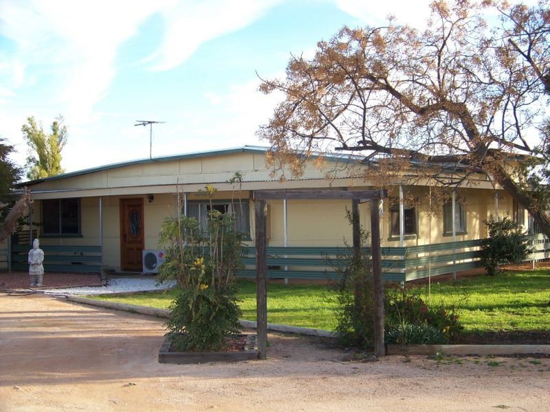 393 Morpung Avenue, Irymple VIC 3498