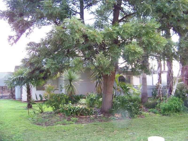 Block 59 Oleander Drive, Dareton NSW 2717