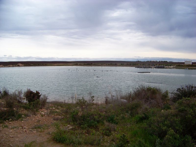 471 Wilga Rd, Red Cliffs VIC 3496
