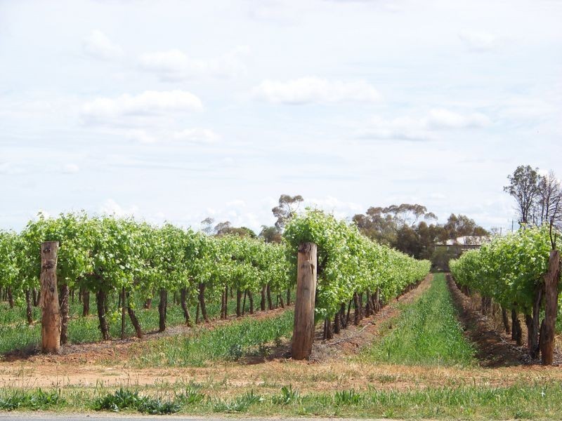 LOT 2 Sixteenth Street, Irymple VIC 3498