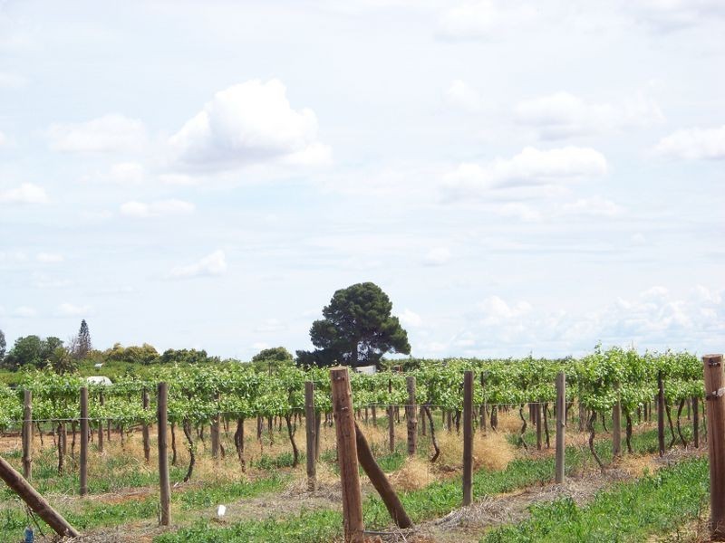 LOT 2 Sixteenth Street, Irymple VIC 3498