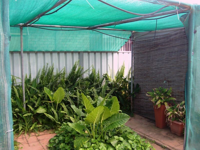 123 Boyden Street, Mildura VIC 3500